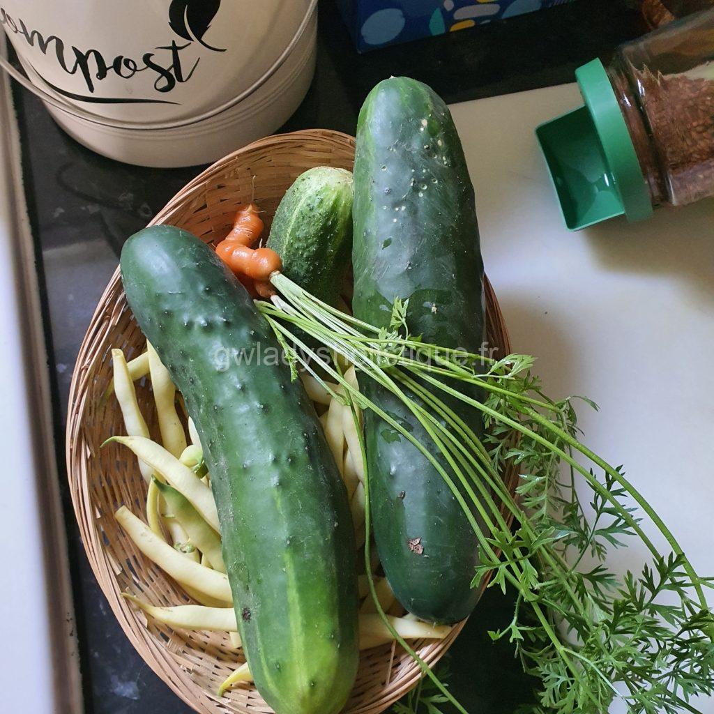 Légumes frais du potager pour une alimentation naturelle et équilibrée.