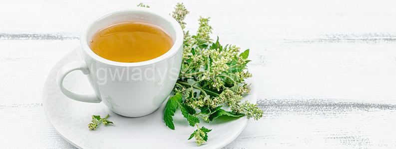 Infusion de mélisse.